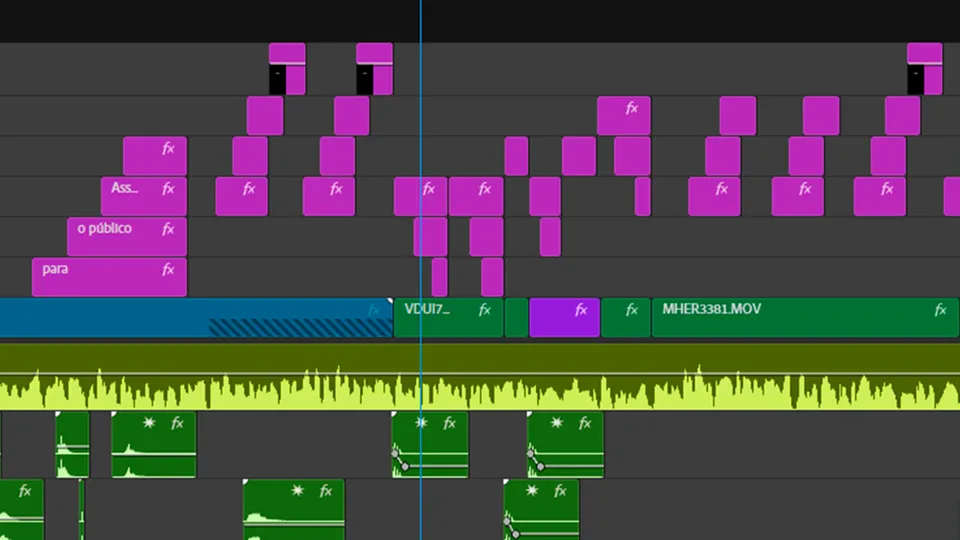 Premiere Pro